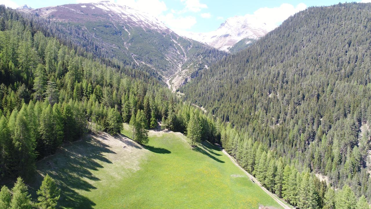 Hotel Sonnenhalde Wiesen Buitenkant foto
